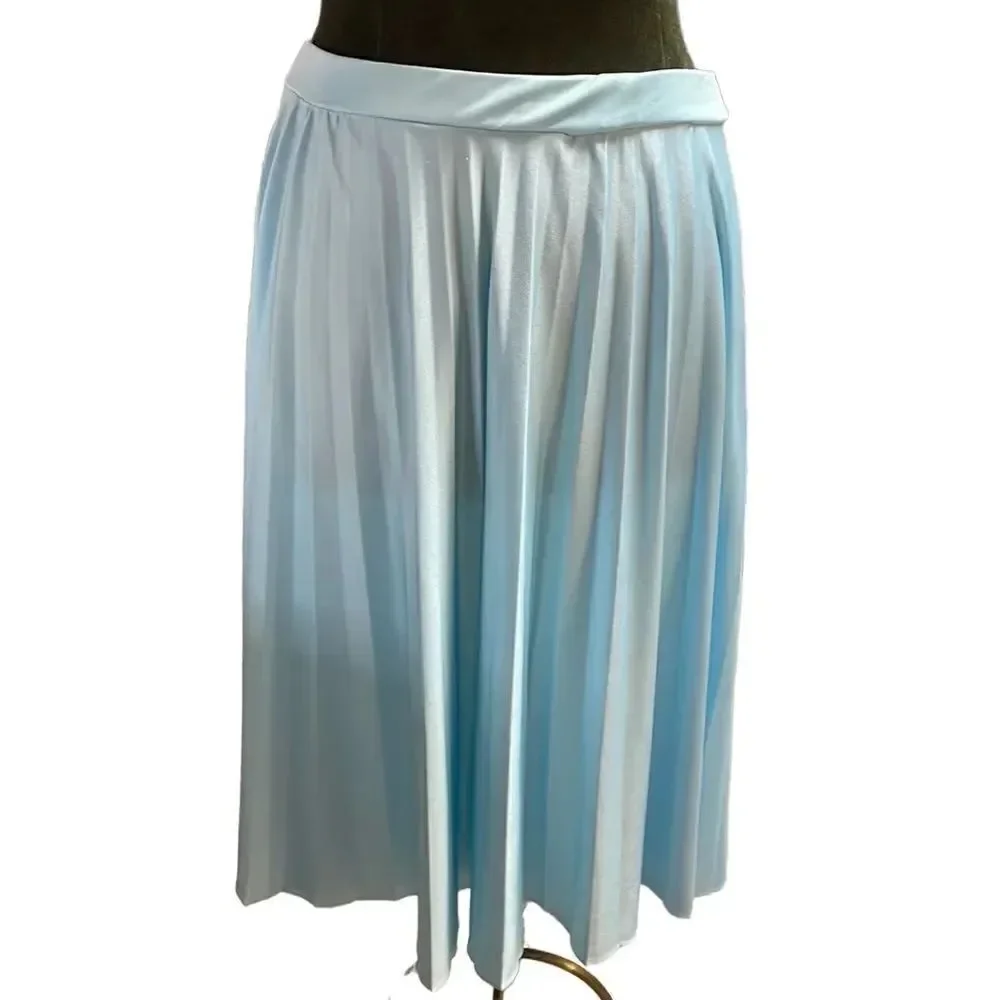 Vintage Pleated Womens Skirt Powder Blue Knee Length 70’s Size Small